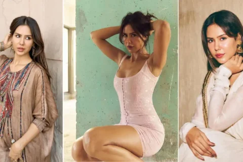 Sonam Bajwa Age, Husband, Family & Biography